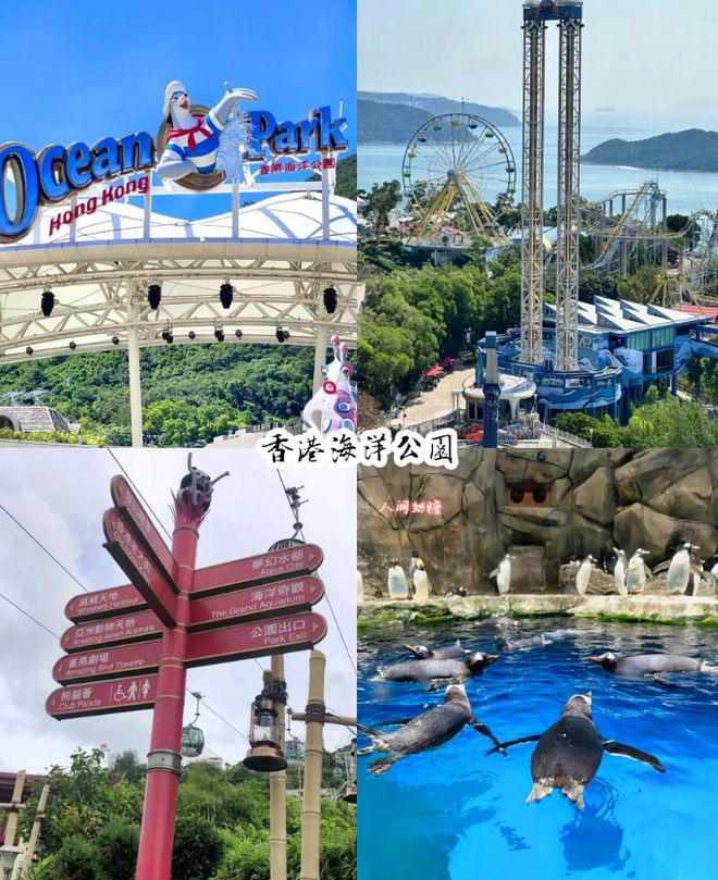 四日游景点推荐攻略：这些景点不容错过米乐m6网站港澳四日游路线规划港澳(图5)